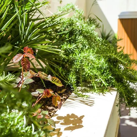 Amaris Luxury * Split