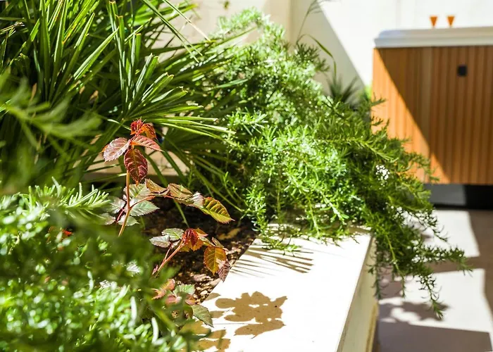 Amaris Luxury * 斯普利特